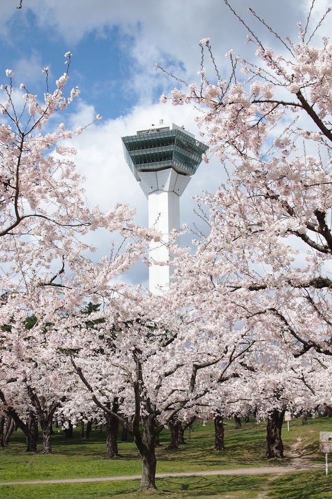 五稜郭公園】の周辺スポット・アクセス・口コミ - Prism Japan