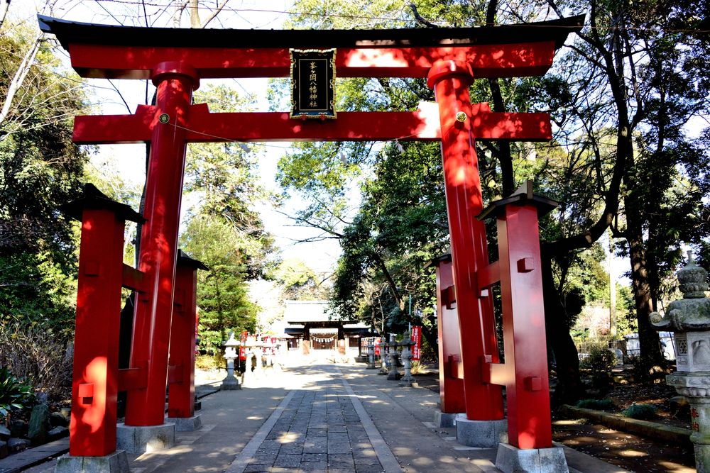 峯ヶ岡八幡神社(峯八幡)の画像 - 2枚目