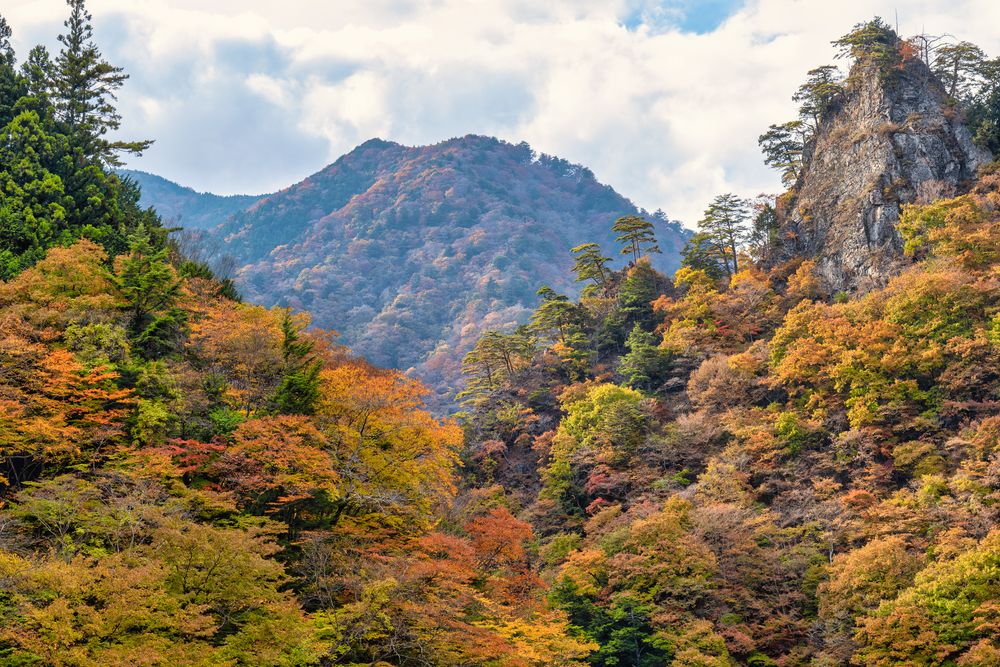 中津峡の画像 - 2枚目