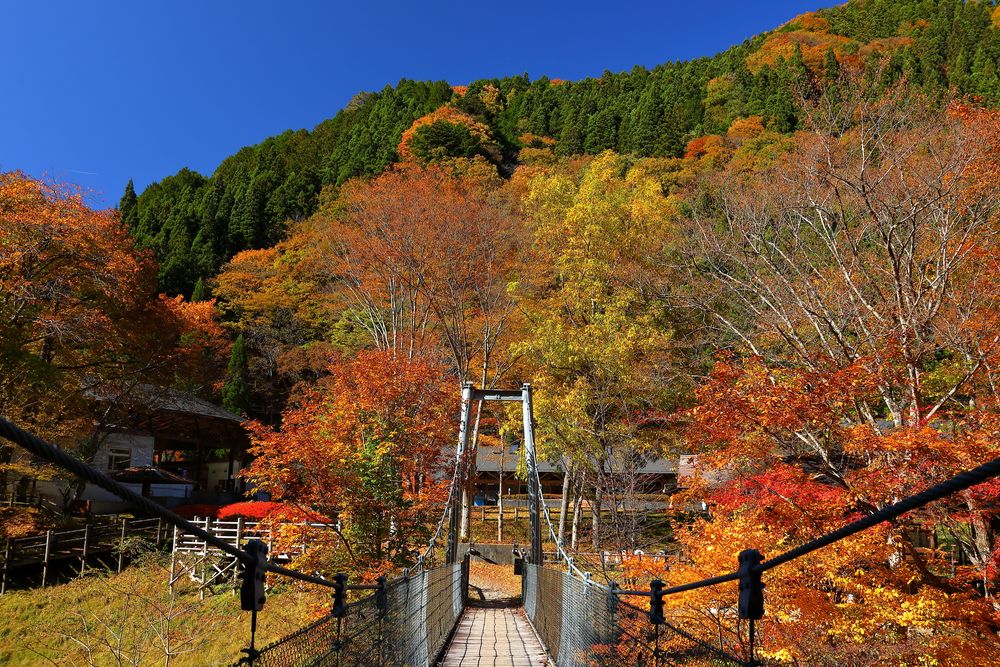 中津峡の画像 - 3枚目