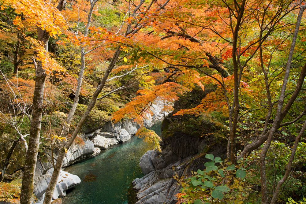 中津峡の画像 - 5枚目