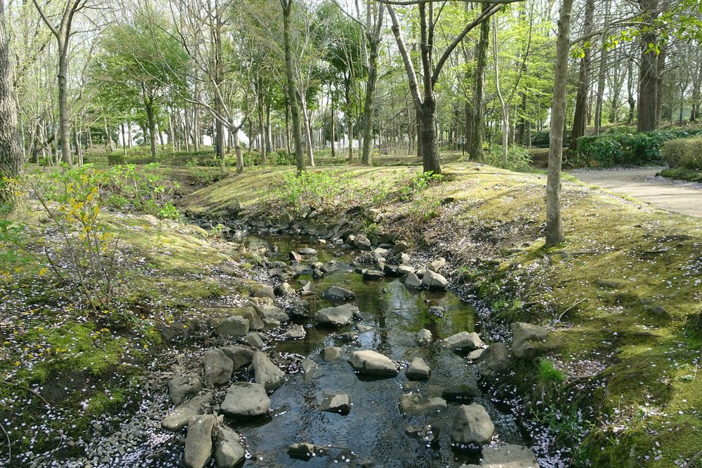 鶴ヶ島市運動公園の画像 - 4枚目