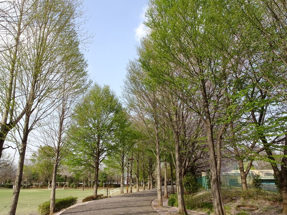 鶴ヶ島市運動公園の画像 - 5枚目