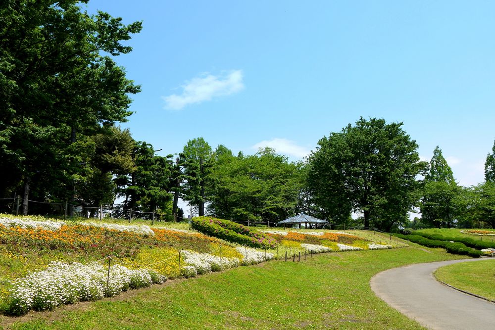 大崎公園の画像 - 2枚目
