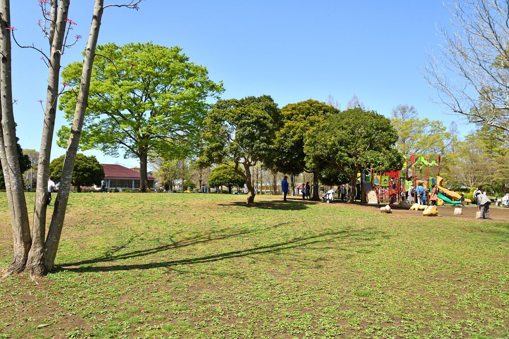 大崎公園