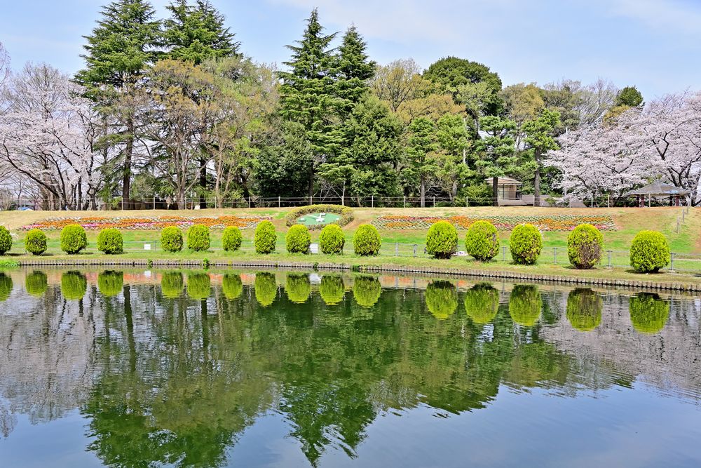 大崎公園の画像 - 5枚目