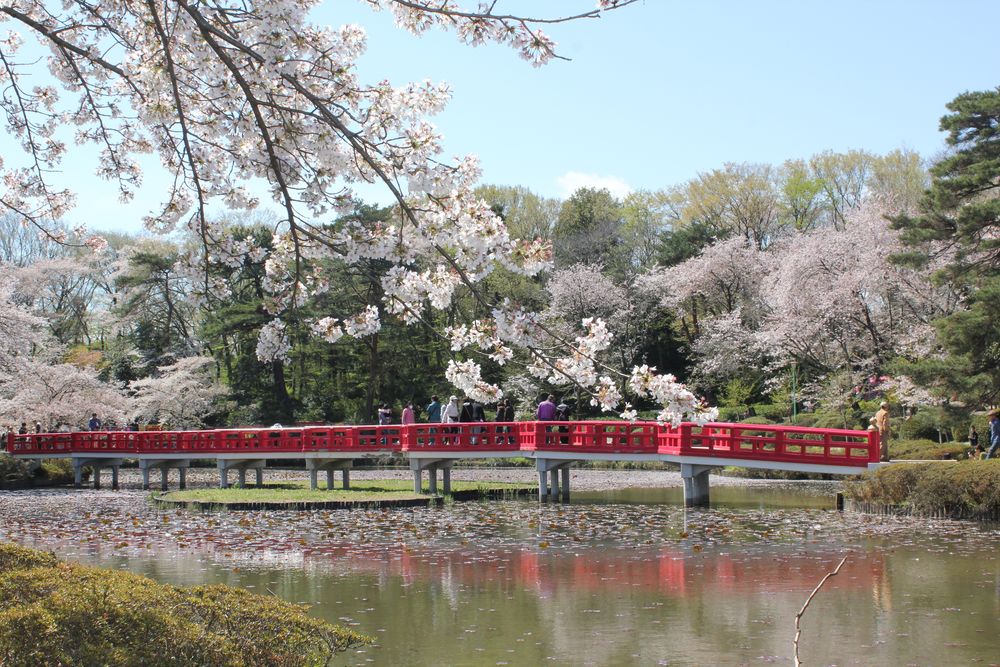 岩槻城址公園の画像 - 2枚目