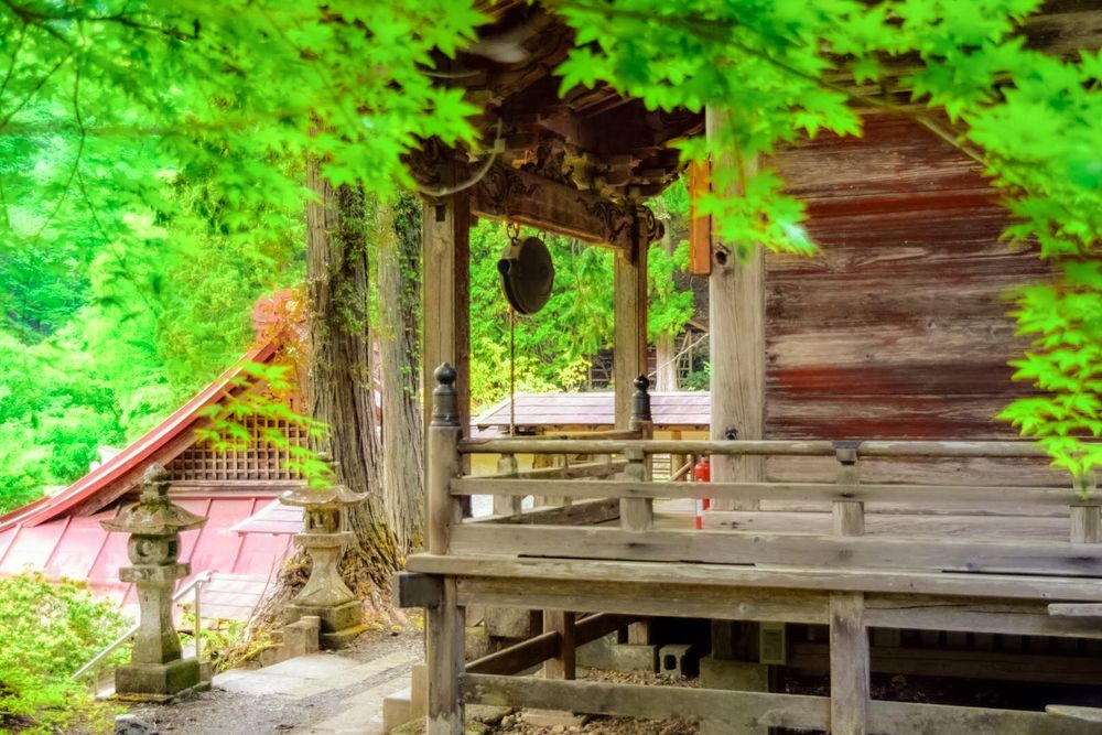 大陽寺の画像 - 4枚目