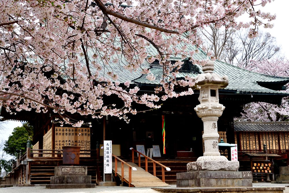 不動ヶ岡不動尊 總願寺の画像 - 2枚目