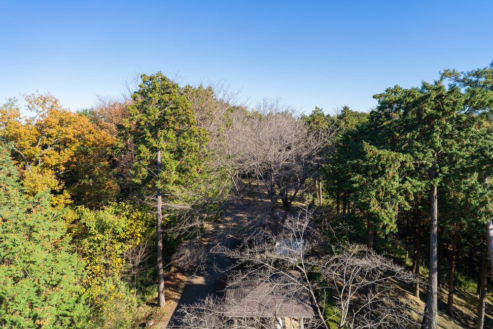 桜山展望台の画像 - 3枚目