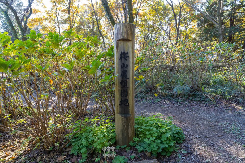 桜山展望台の画像 - 4枚目