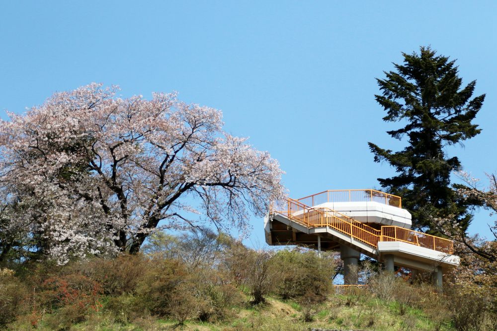 おしゃもじ山公園の画像 - 2枚目