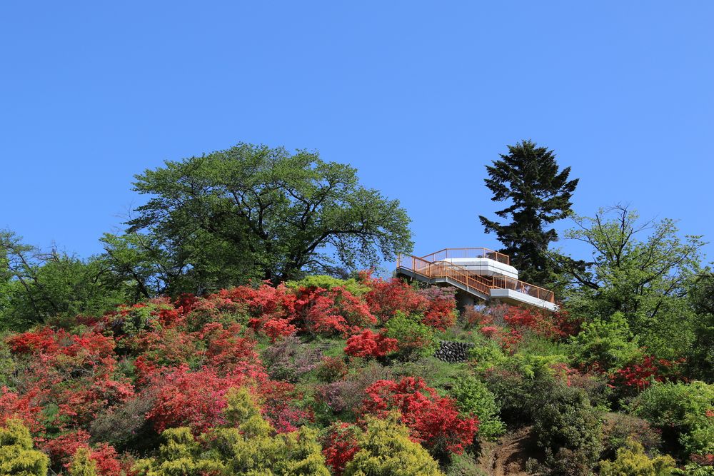 おしゃもじ山公園の画像 - 3枚目