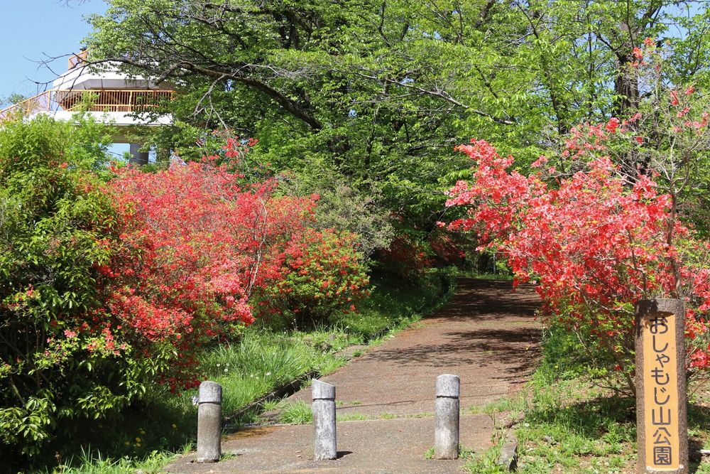 おしゃもじ山公園の画像 - 4枚目