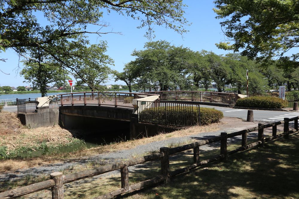 伊佐沼公園の画像 - 2枚目