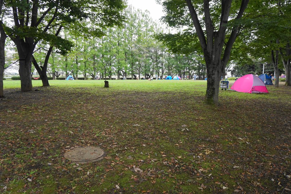 伊佐沼公園の画像 - 3枚目