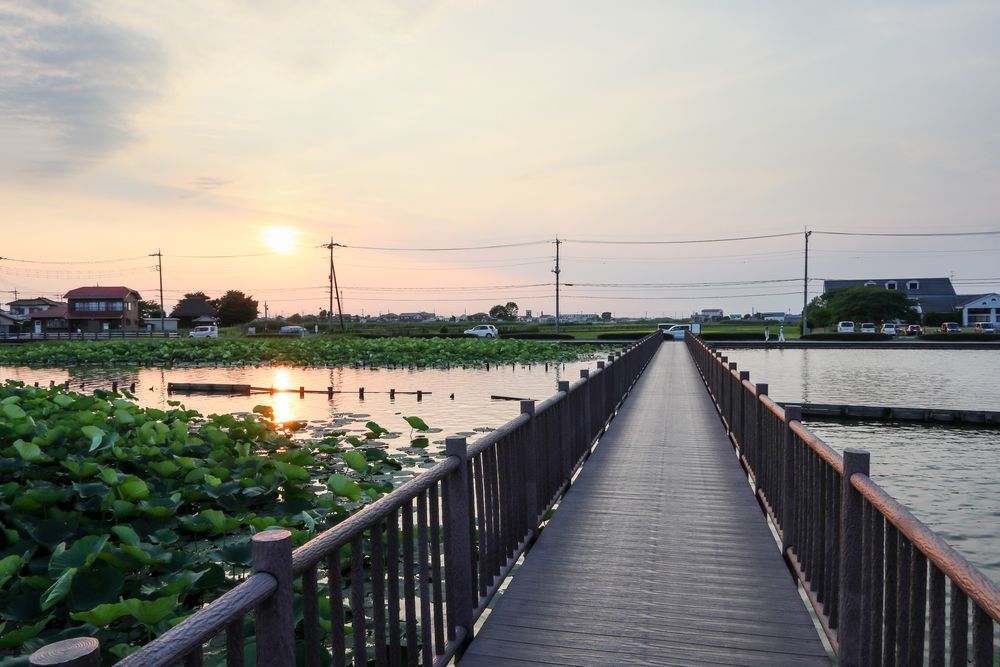 伊佐沼公園の画像 - 4枚目