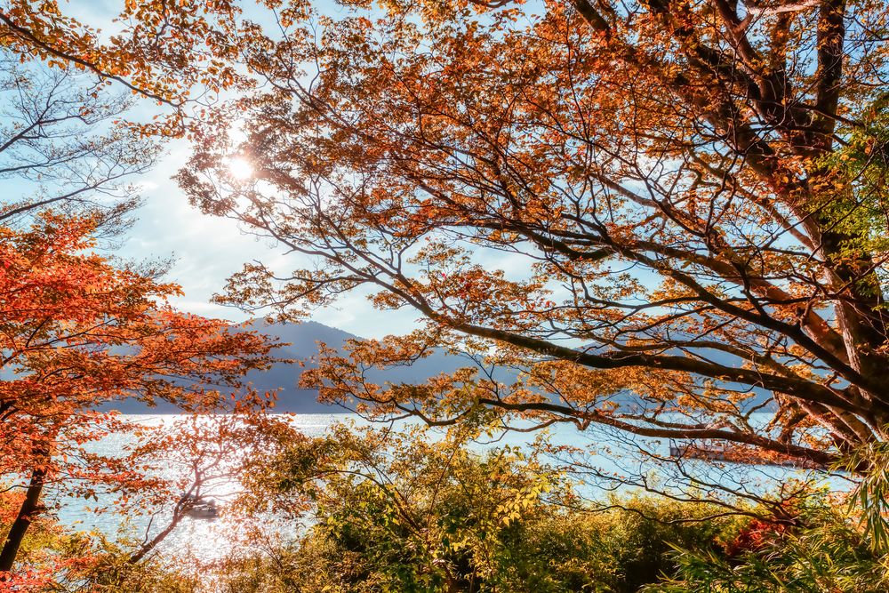 芦ノ湖の画像 - 3枚目