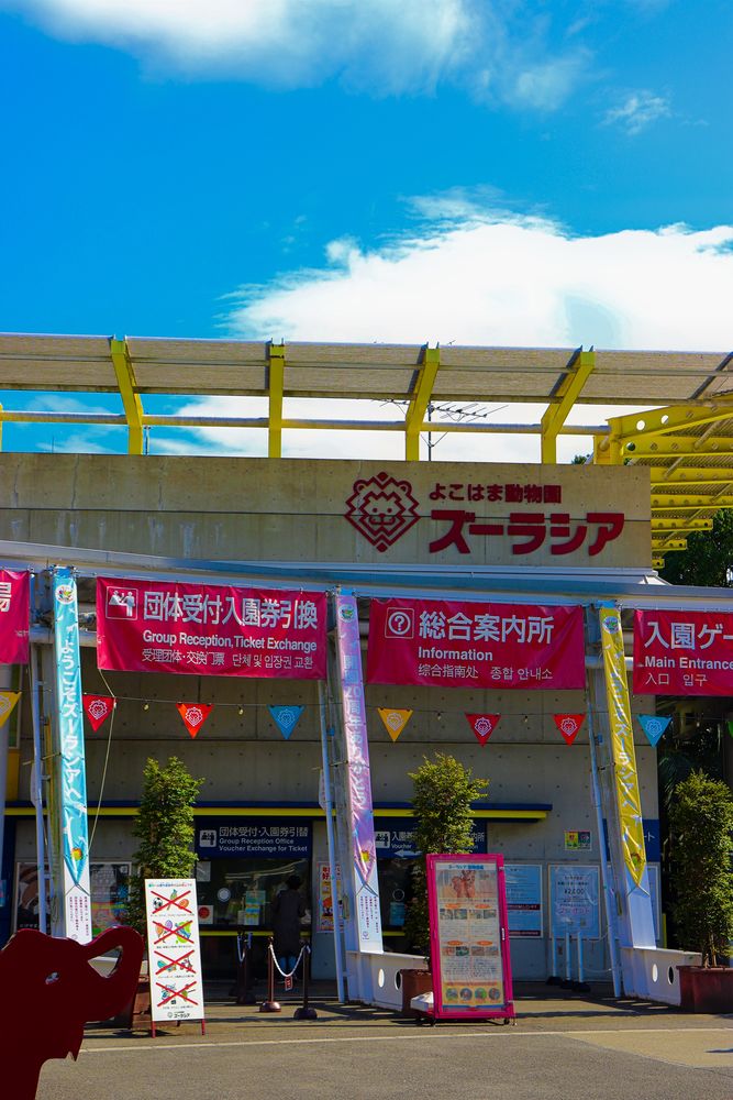 よこはま動物園ズーラシアの画像 - 2枚目