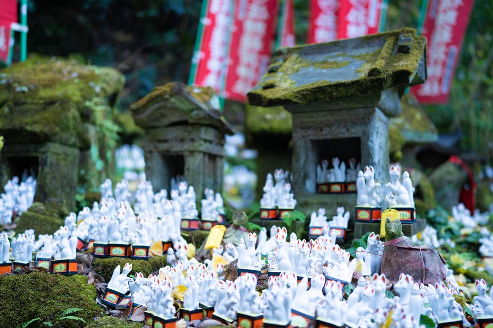 佐助稲荷神社(出世稲荷)の画像 - 4枚目