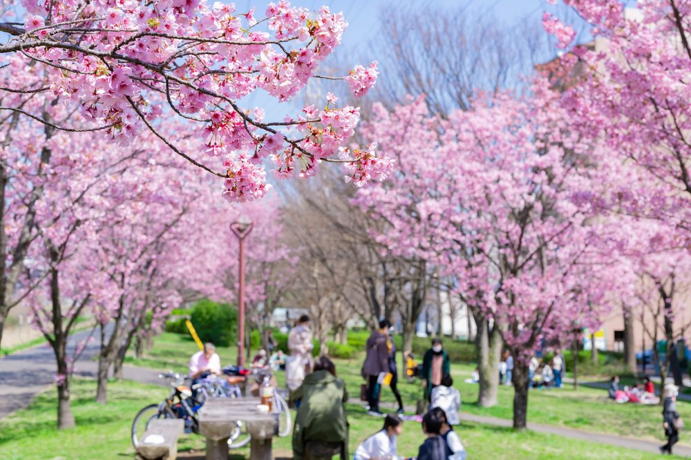新横浜公園の画像 - 3枚目