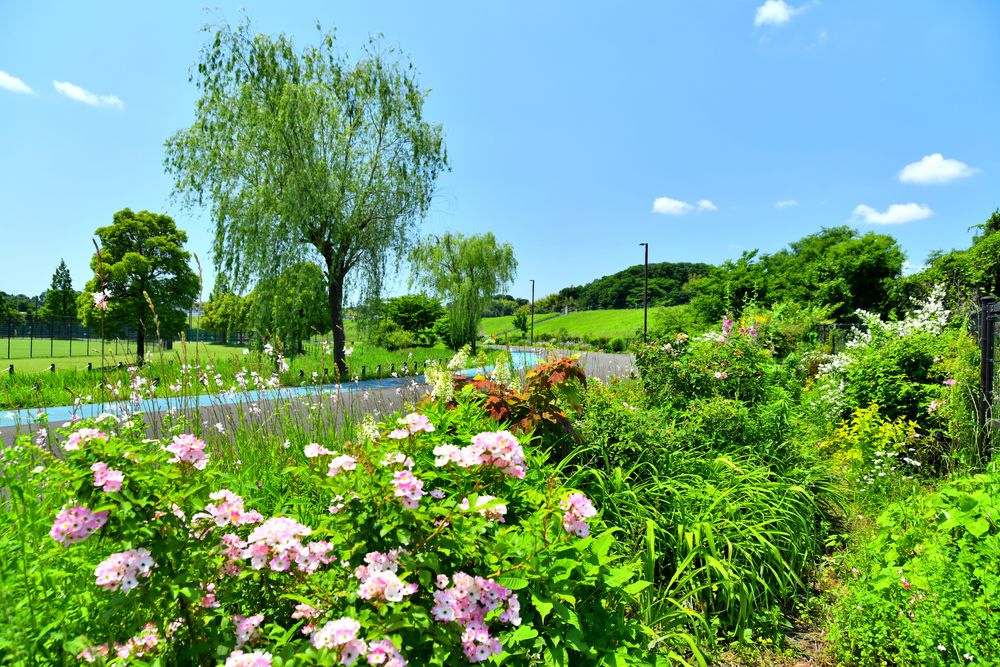 新横浜公園の画像 - 4枚目