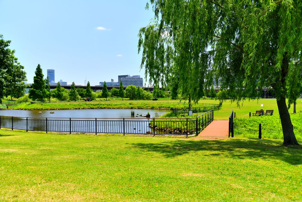 新横浜公園の画像 - 5枚目