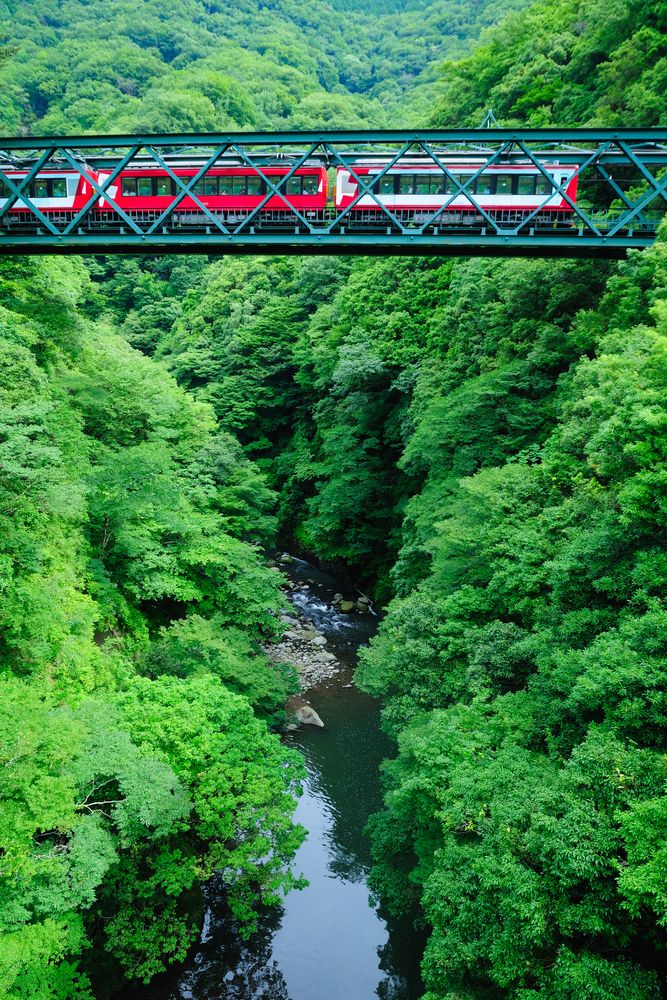 箱根登山鉄道の画像 - 2枚目
