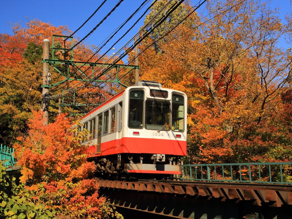 箱根登山鉄道の画像 - 3枚目