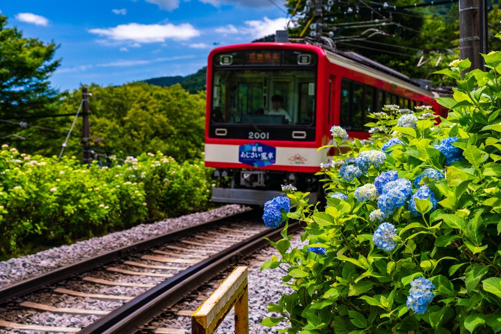 箱根登山鉄道の画像 - 4枚目