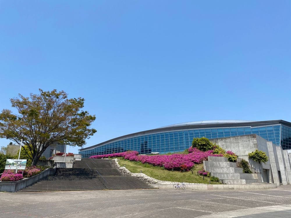 横浜国際プール - WATER ARENAの画像 - 3枚目