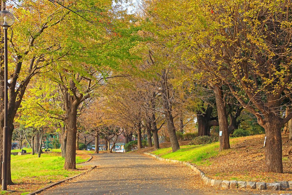 大師公園の画像 - 3枚目