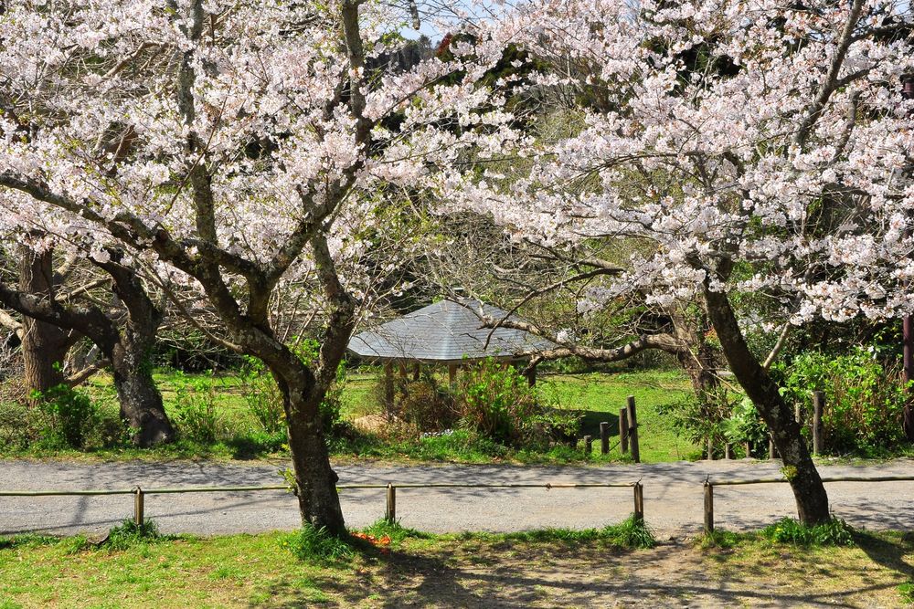 源氏山公園の画像 - 3枚目