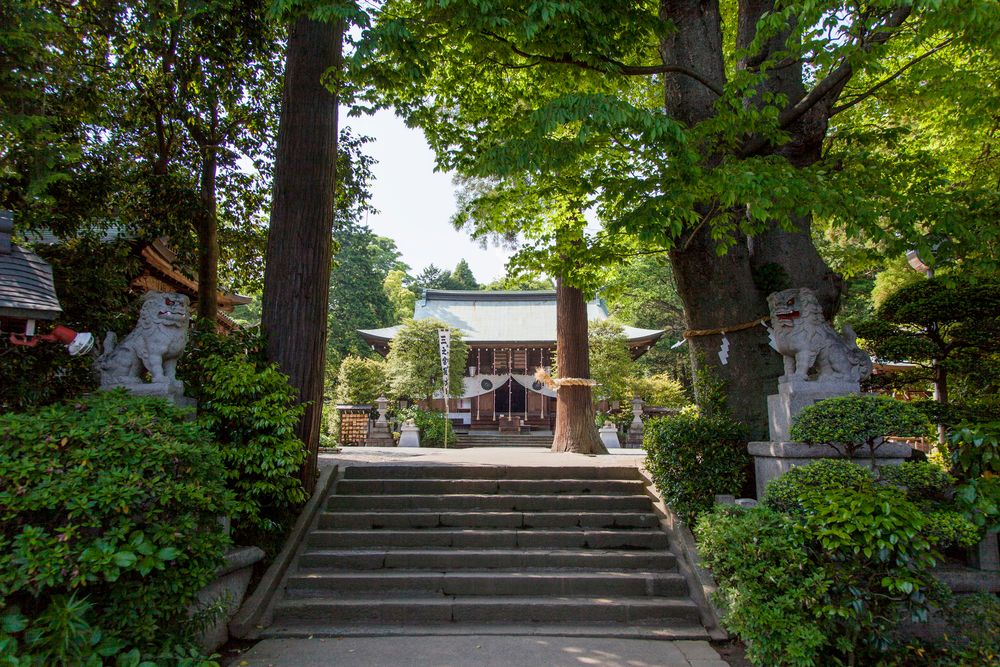 比々多神社(相模國三宮)の画像 - 2枚目