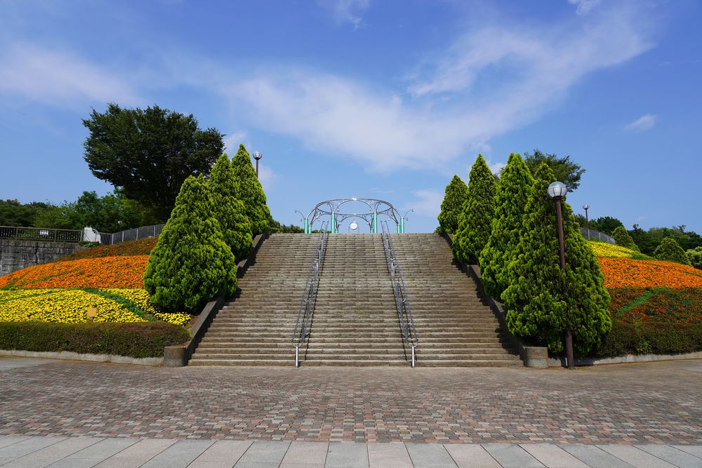 相模原麻溝公園の画像 - 4枚目