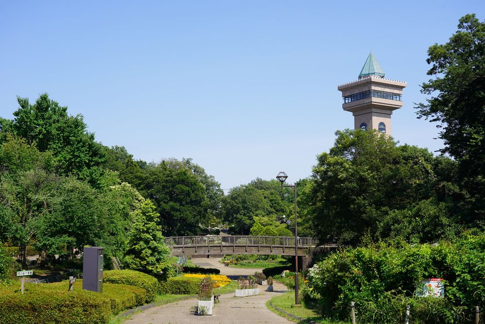 相模原麻溝公園