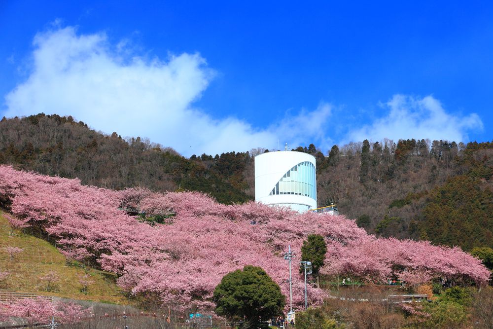 西平畑公園の画像 - 2枚目