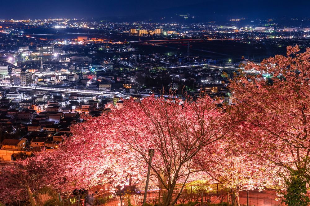 西平畑公園の画像 - 3枚目