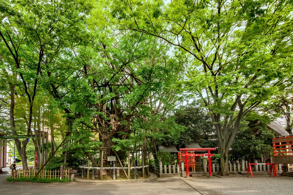 稲毛神社】の周辺スポット・アクセス・口コミ - Prism Japan