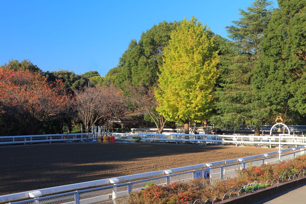 根岸競馬記念公苑の画像 - 2枚目