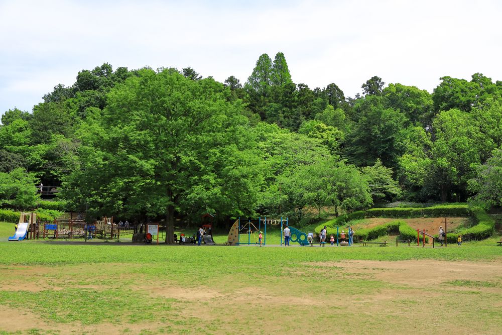 王禅寺 公園 バス セール