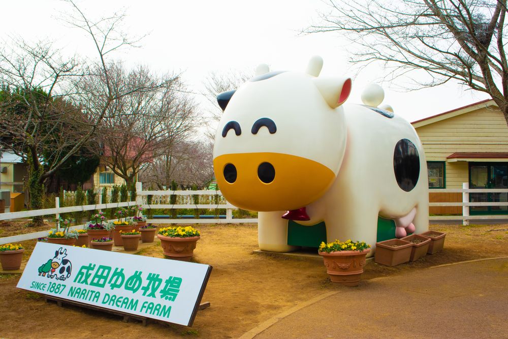 成田ゆめ牧場の画像 - 3枚目