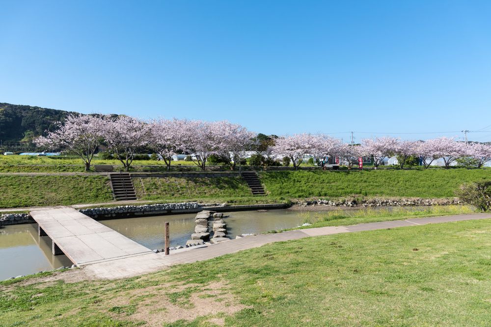 道の駅 とみうら枇杷俱楽部の画像 - 2枚目