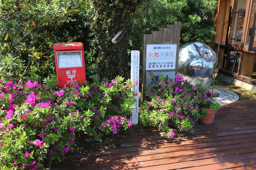 道の駅 とみうら枇杷俱楽部の画像 - 5枚目