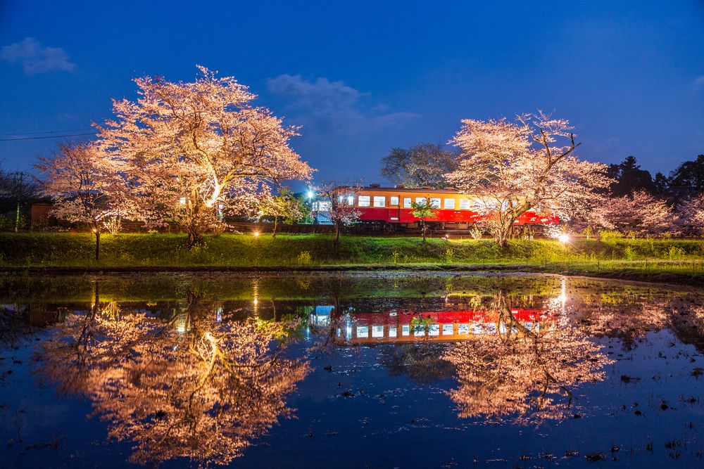 小湊鐵道の画像 - 5枚目