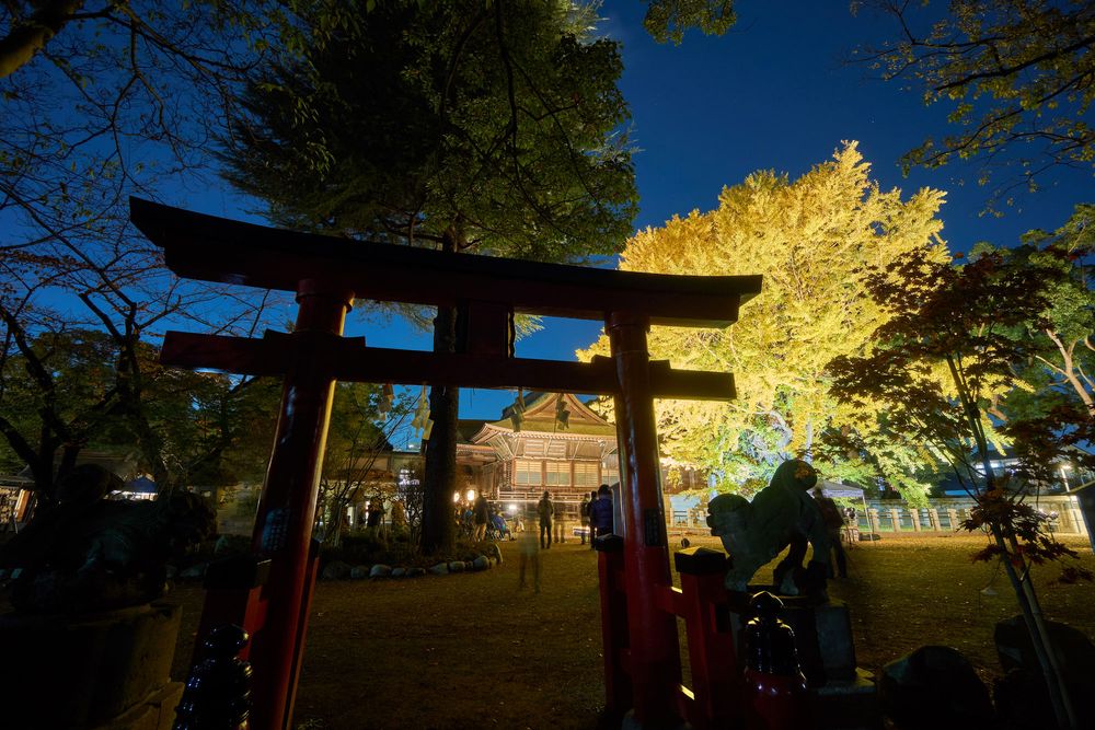 葛飾八幡宮の画像 - 3枚目