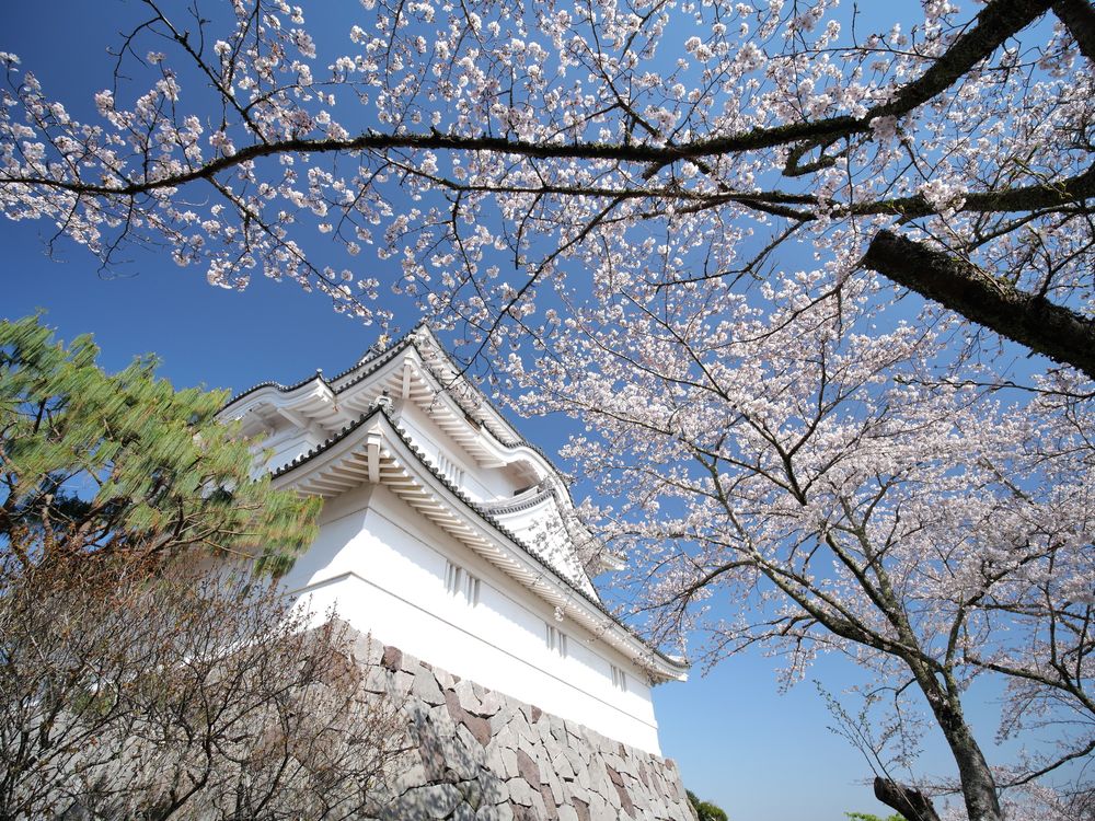 千葉県立中央博物館大多喜城分館の画像 - 3枚目