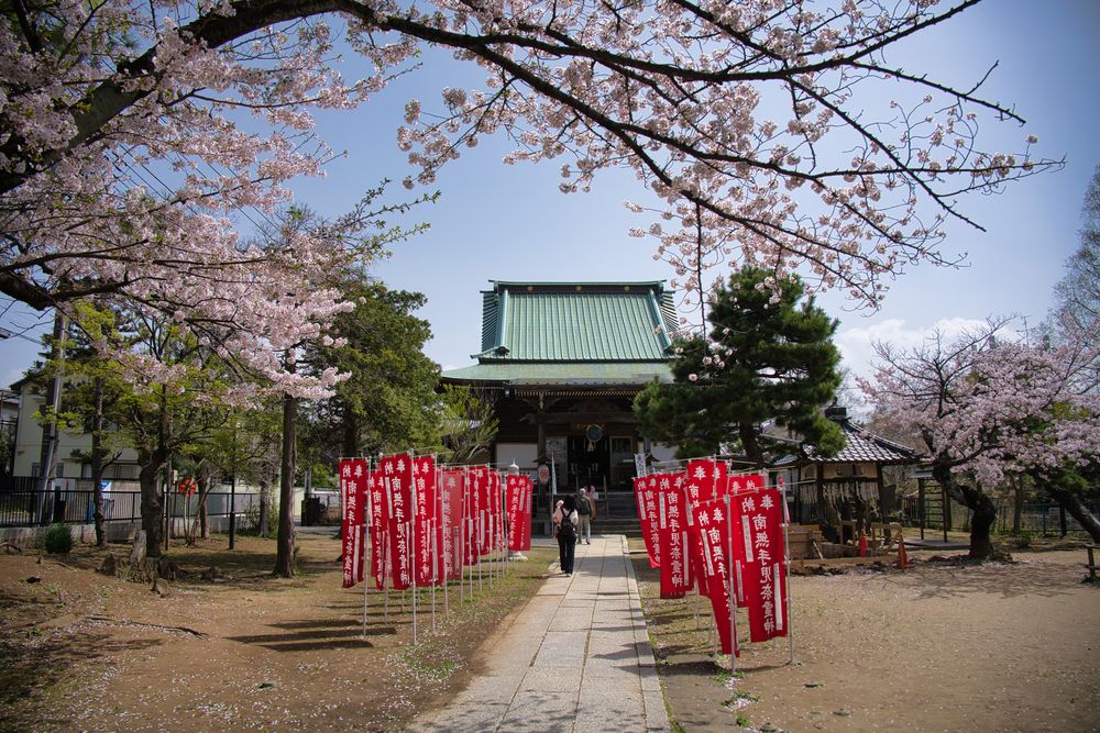 日蓮宗 真間山 弘法寺の画像 - 5枚目