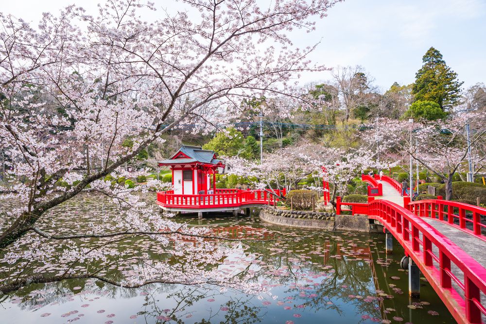 茂原公園の画像 - 3枚目