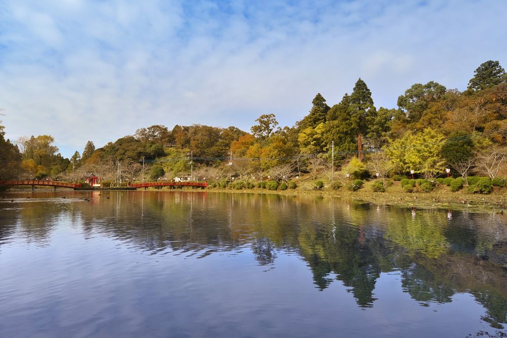 茂原公園の画像 - 4枚目
